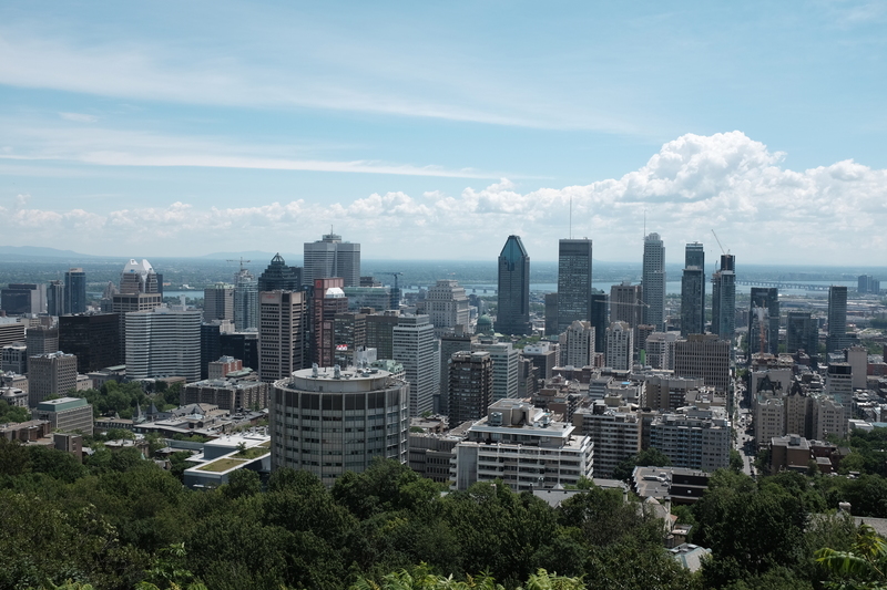 /images/800px/viewofmontreal.jpg